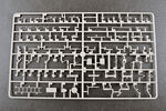 tru01067-15.jpg