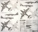 2_tam61082_6.jpg