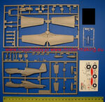 1_mscC46_1.jpg