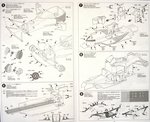 2_tam20052_3.jpg