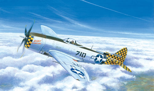 P-47 N Thunderbolt - Image 1
