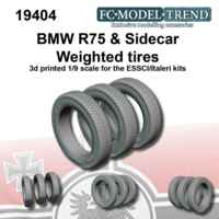 BMW R75 & sidecar weighted wheels