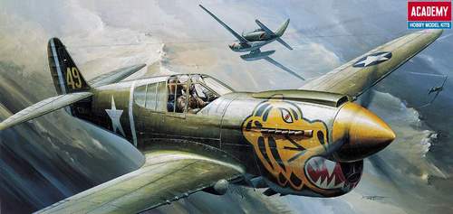 P-40E WARHAWK - Image 1