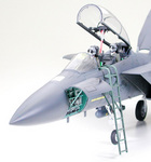 f15e2.jpg