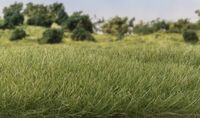 Static Grass - Medium Green 7mm - Image 1