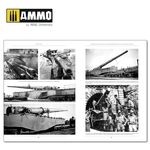 amm-6263-7.jpg