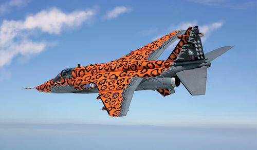 JAGUAR Gr.3 "BIG CAT" Special Colors - Image 1