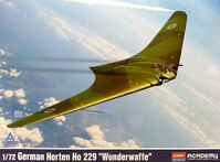 German Horten Ho 229 Wunderwaffe - Image 1