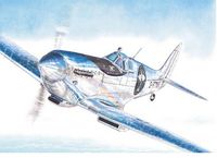 Spitfire Mk.IX "The Longest Flight" - Image 1