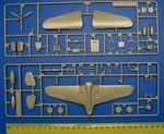 1_aca1668_2.jpg