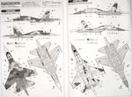 2_tam60743_4.jpg