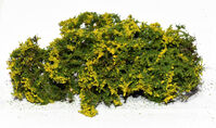 Flowering Shrubs - Yellow - Image 1